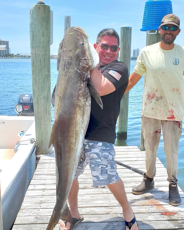 REEL ADDICTION FISHING CHARTERS Pensacola Beach, Fl - Reel Addiction Fishing  Charters Home page